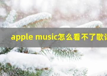 apple music怎么看不了歌词